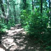 Review photo of Tippecanoe River State Park Campground by Jennifer L., July 31, 2018