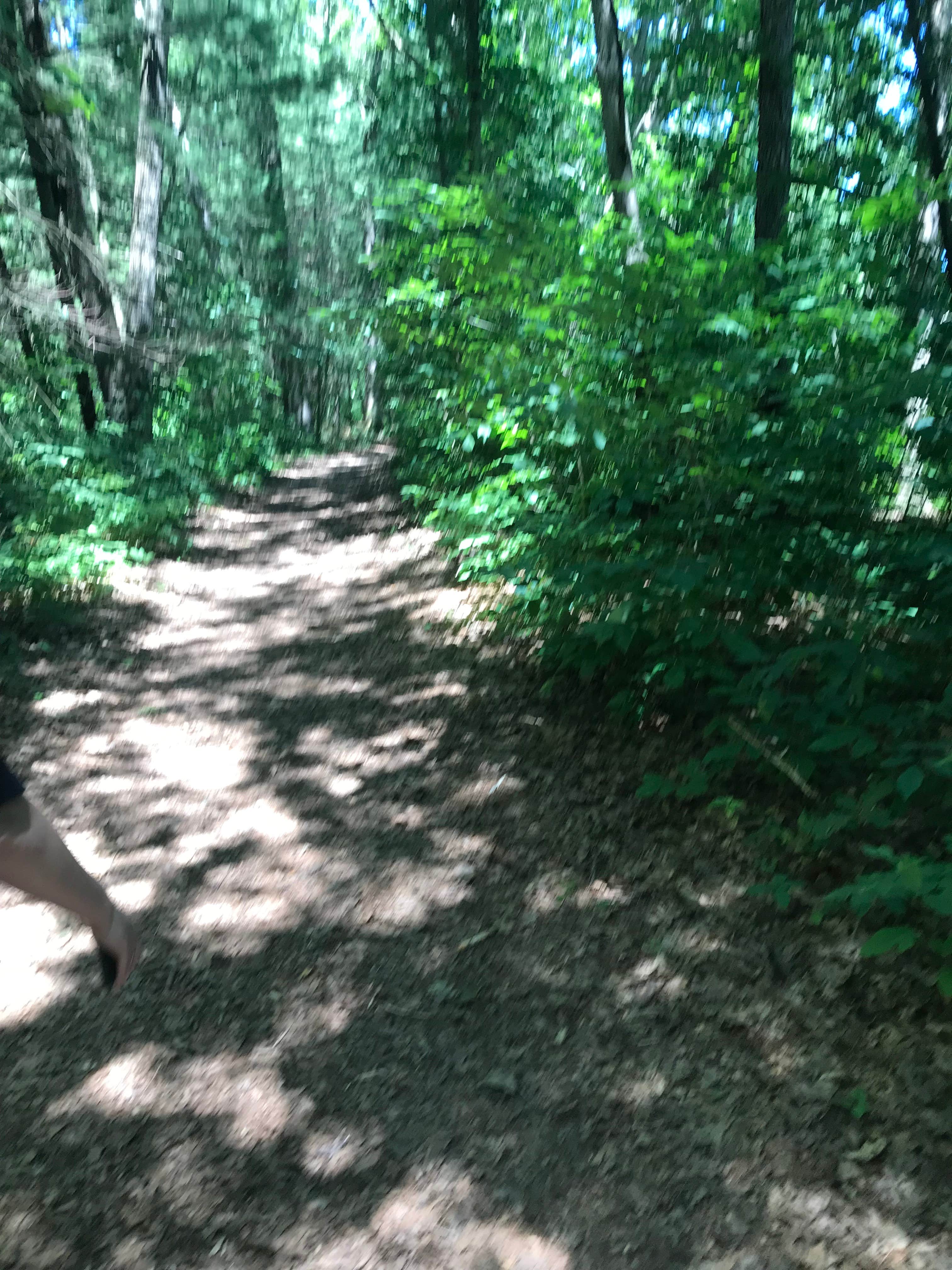 Camper submitted image from Tippecanoe River State Park Campground - 3