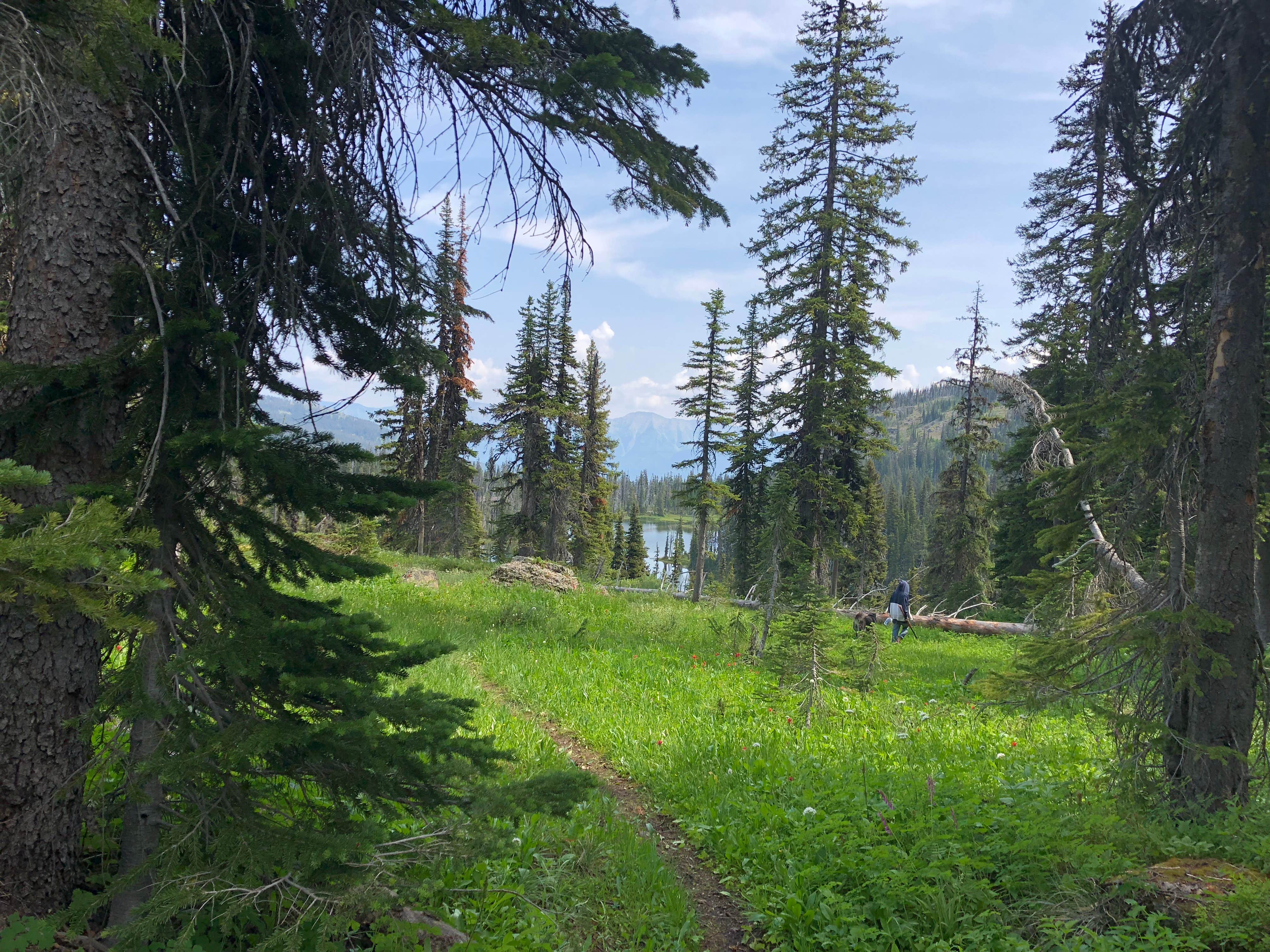 Camper-submitted photo at Lake Elsina - Dispersed near Florence, MT