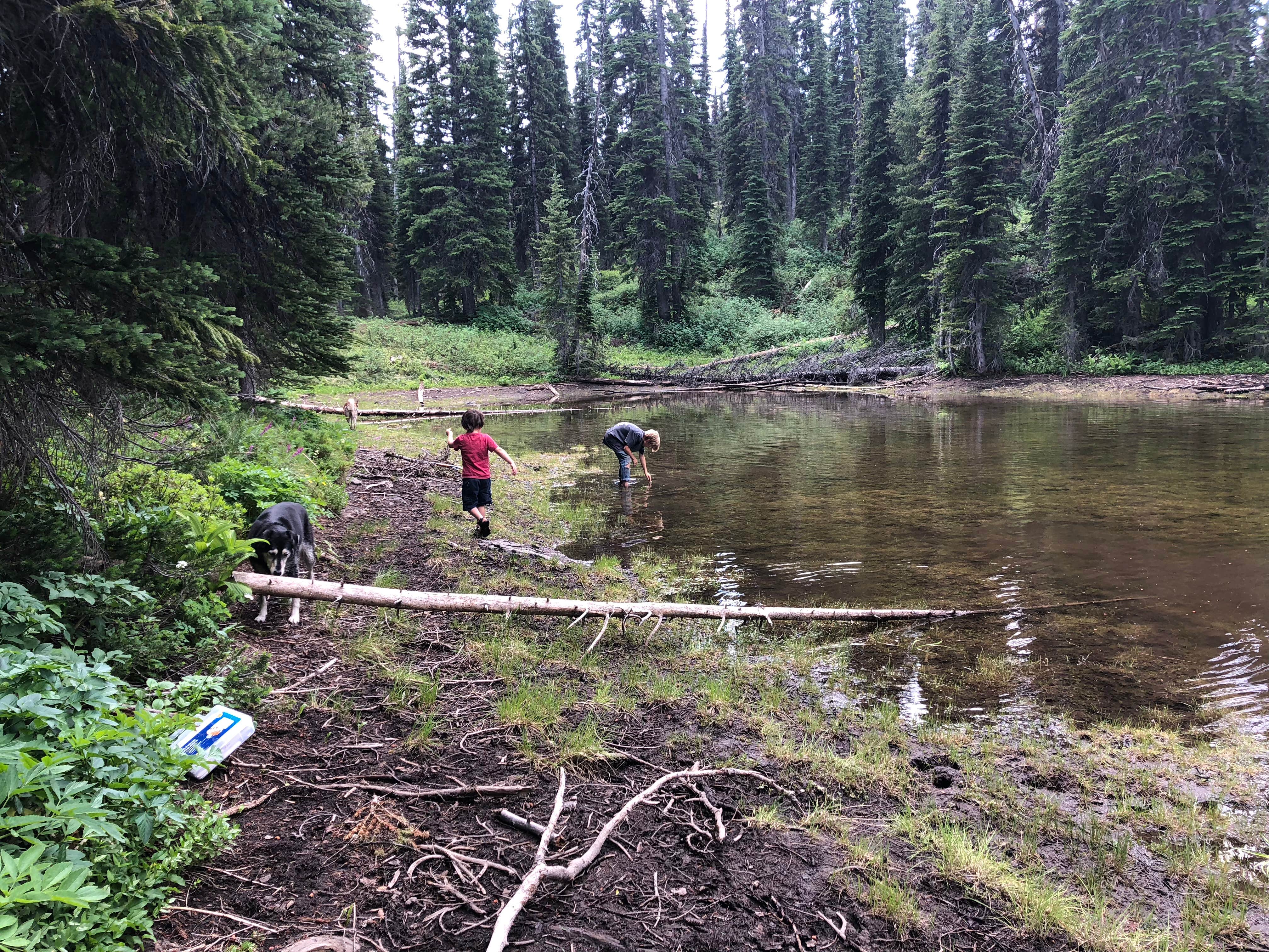 Camper-submitted photo at Lake Elsina - Dispersed near Missoula, MT