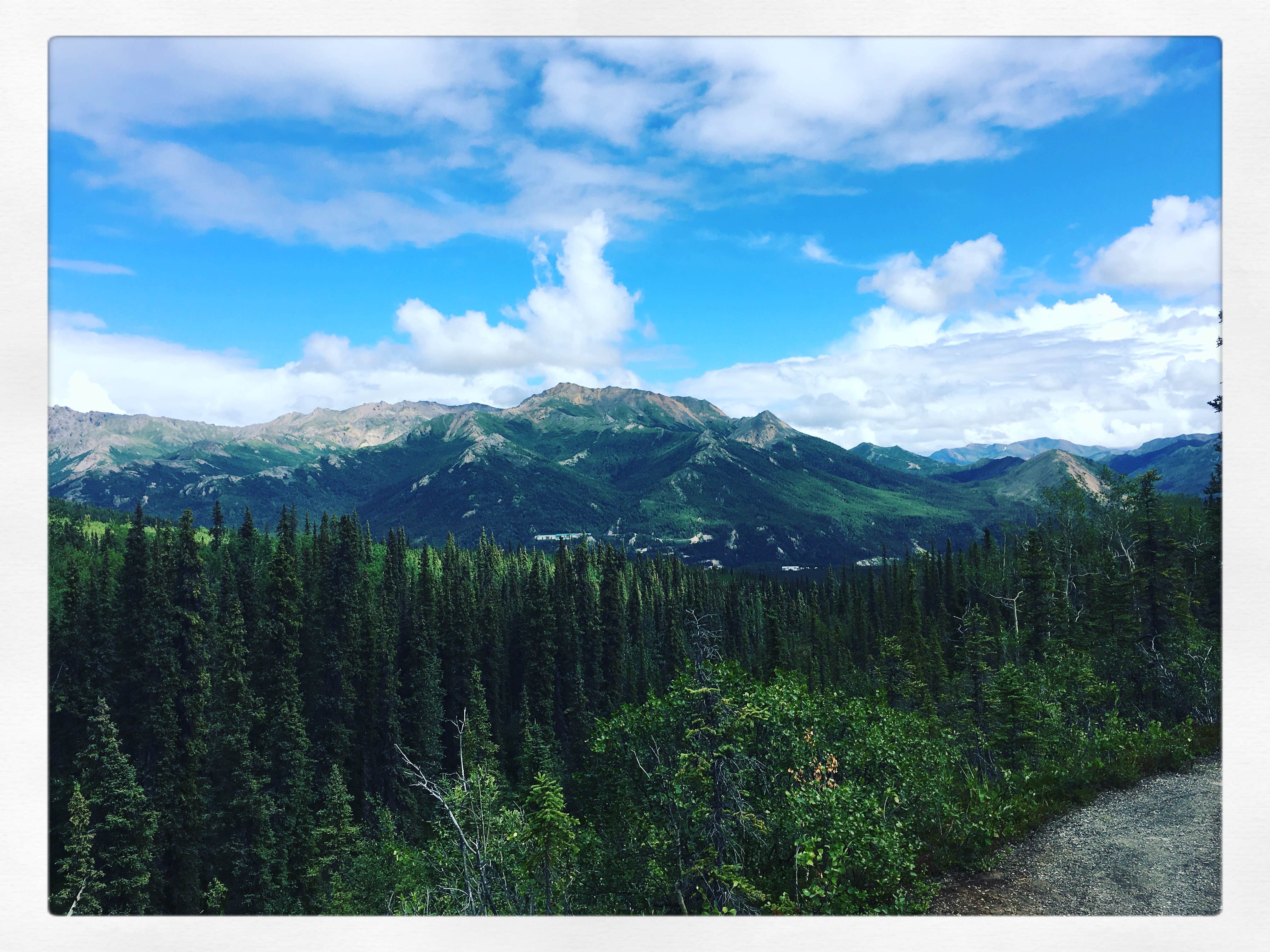 Healy creek campground sale