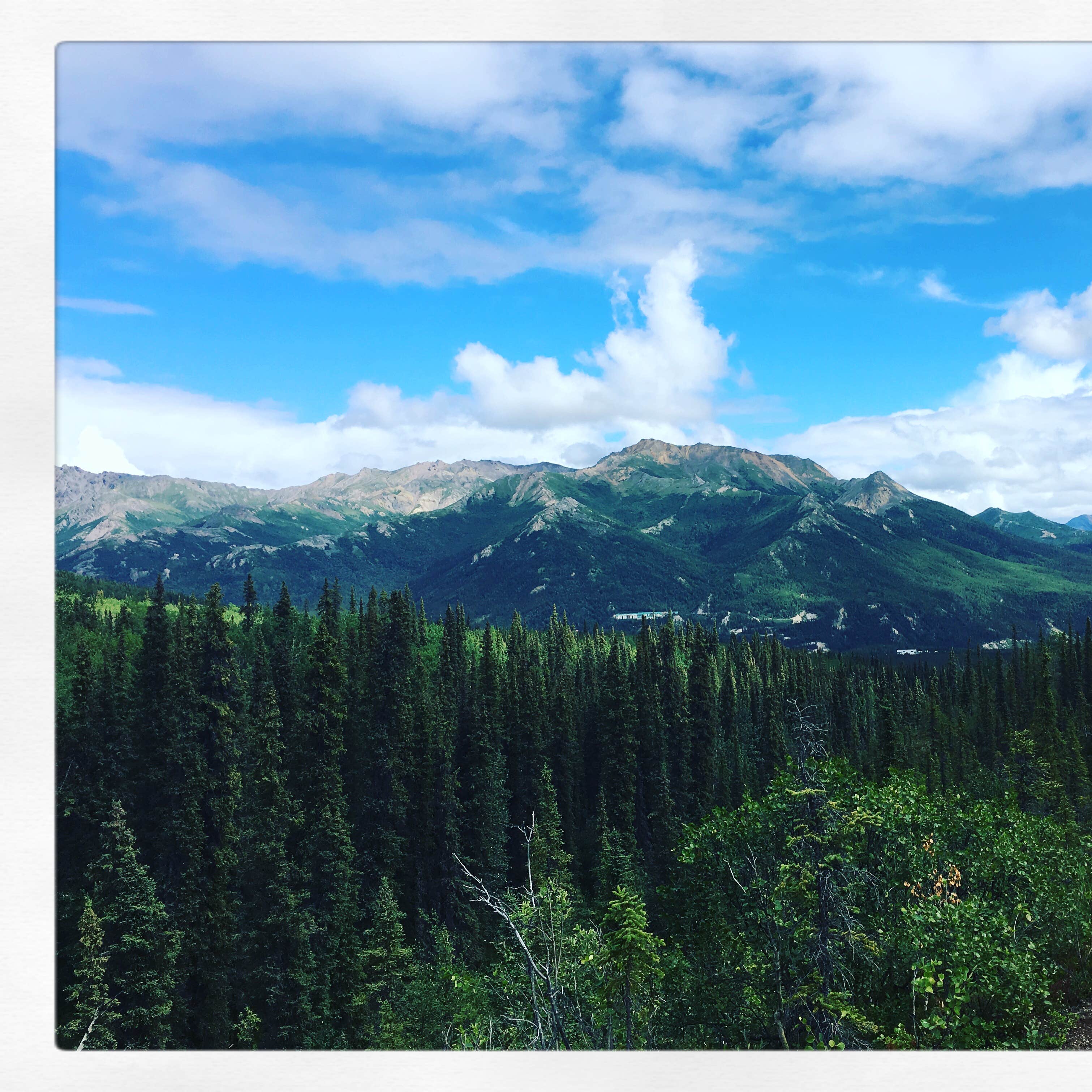 Riley Creek Campground — Denali National Park
