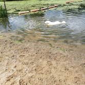 Review photo of Mosquito Lake State Park Campground by Courtney C., July 31, 2018