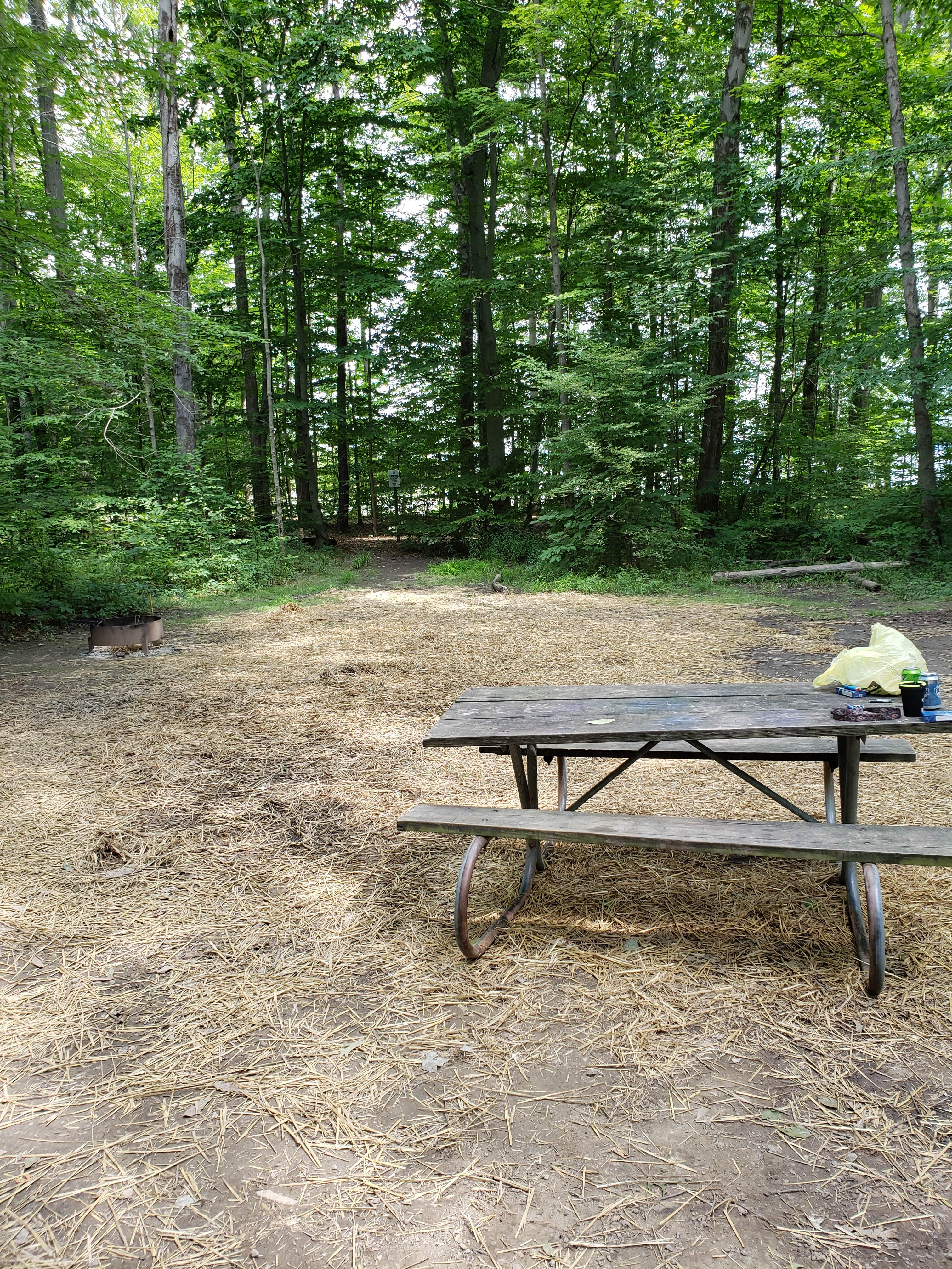 Camper submitted image from Mosquito Lake State Park Campground - 4