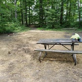 Review photo of Mosquito Lake State Park Campground by Courtney C., July 31, 2018
