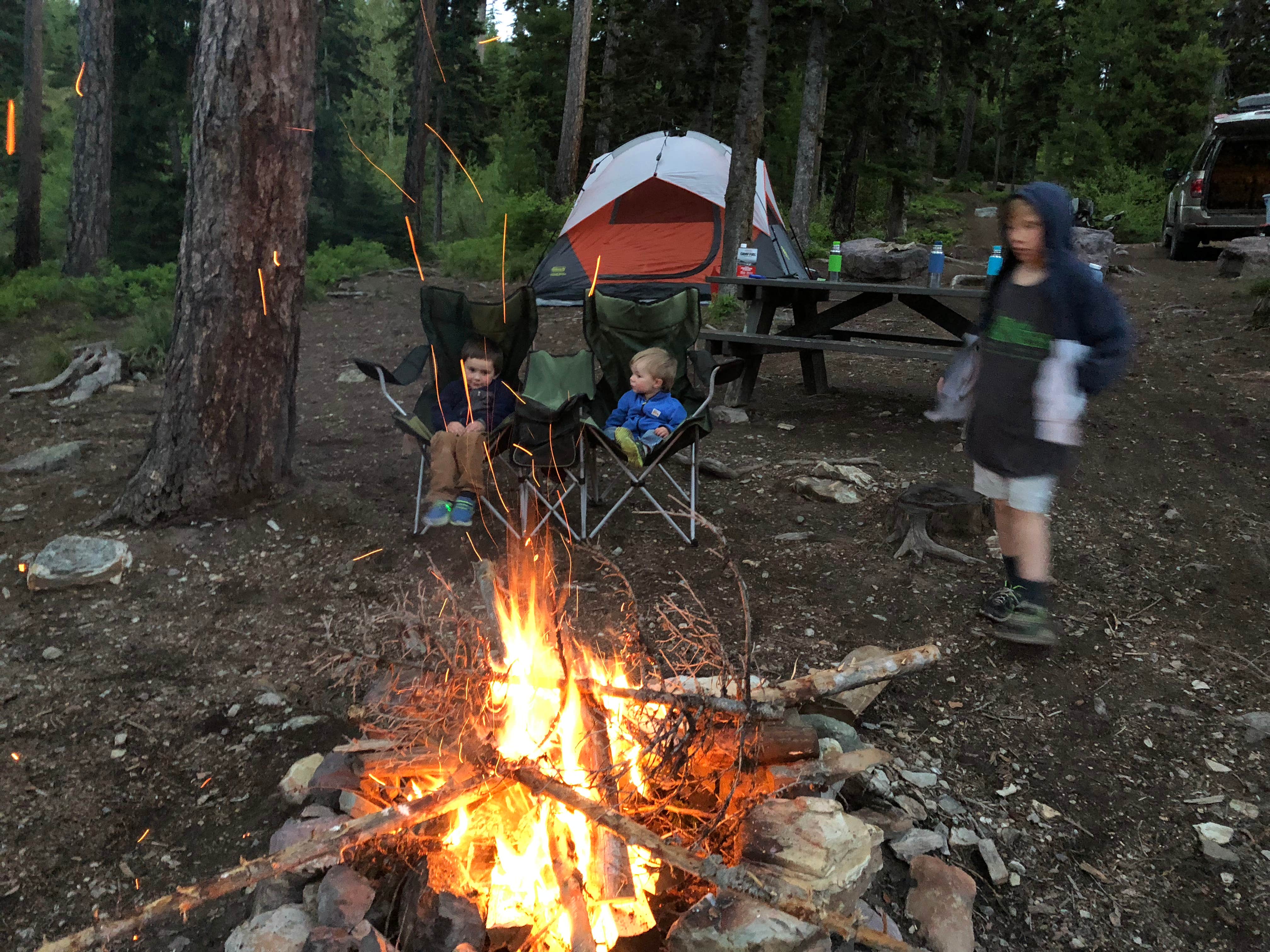 Camper submitted image from Lake Marshall - 2