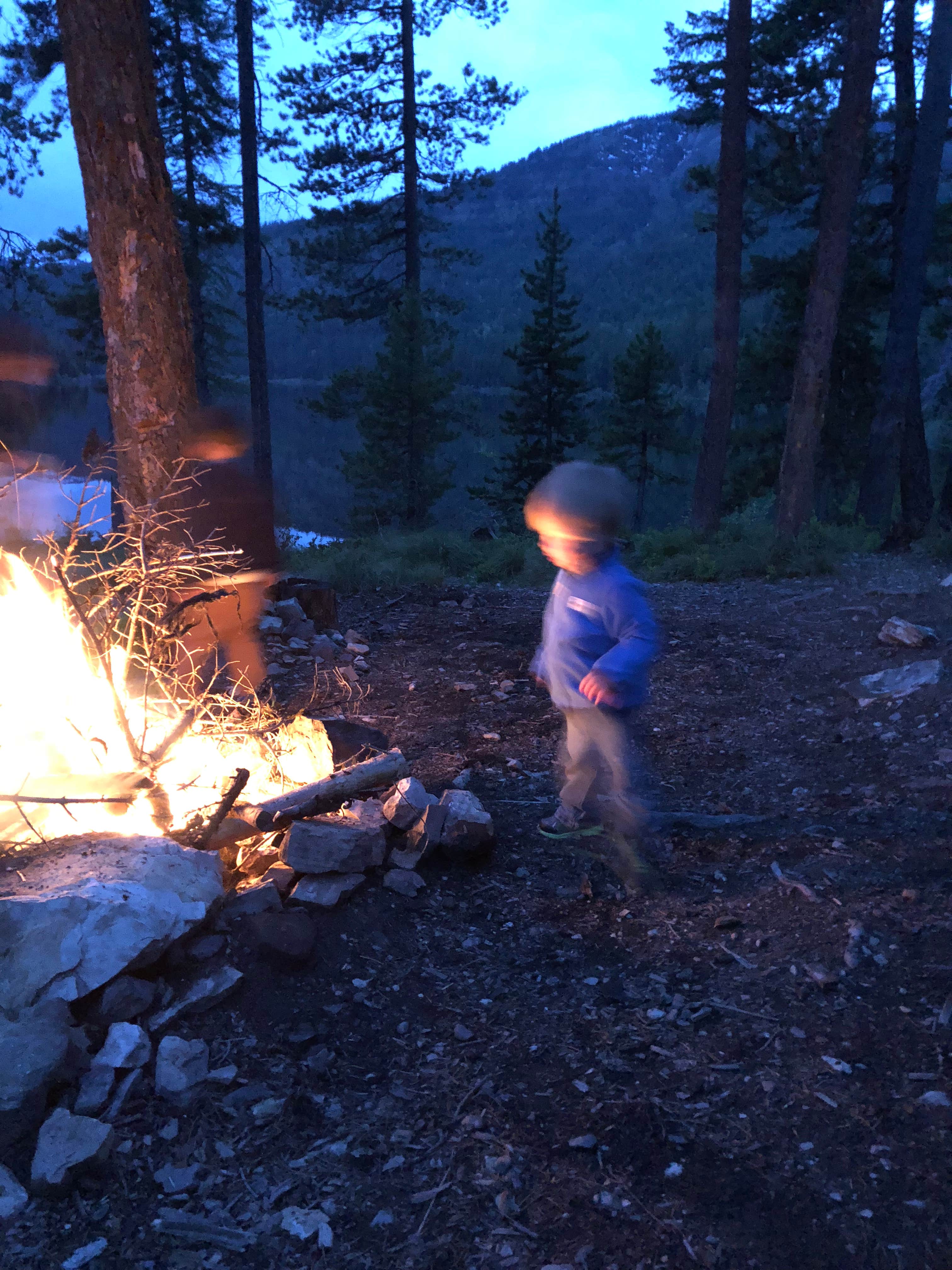 BriAnne M.'s photo of camping with pets at Lake Marshall near Condon, MT