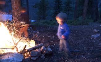 BriAnne M.'s photo of camping with pets at Lake Marshall near Seeley Lake, MT