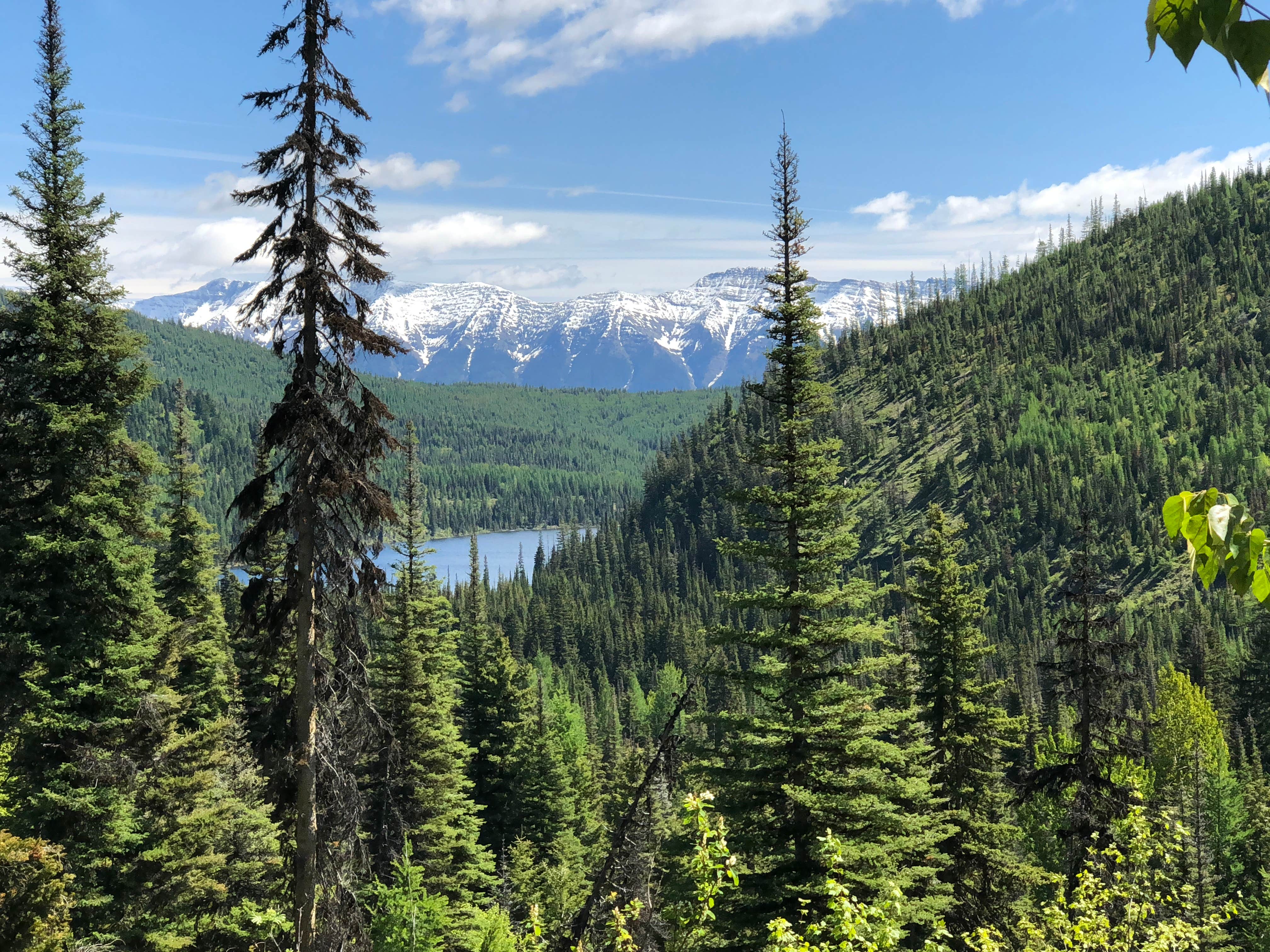 Camper-submitted photo at Lake Marshall near Polson, MT