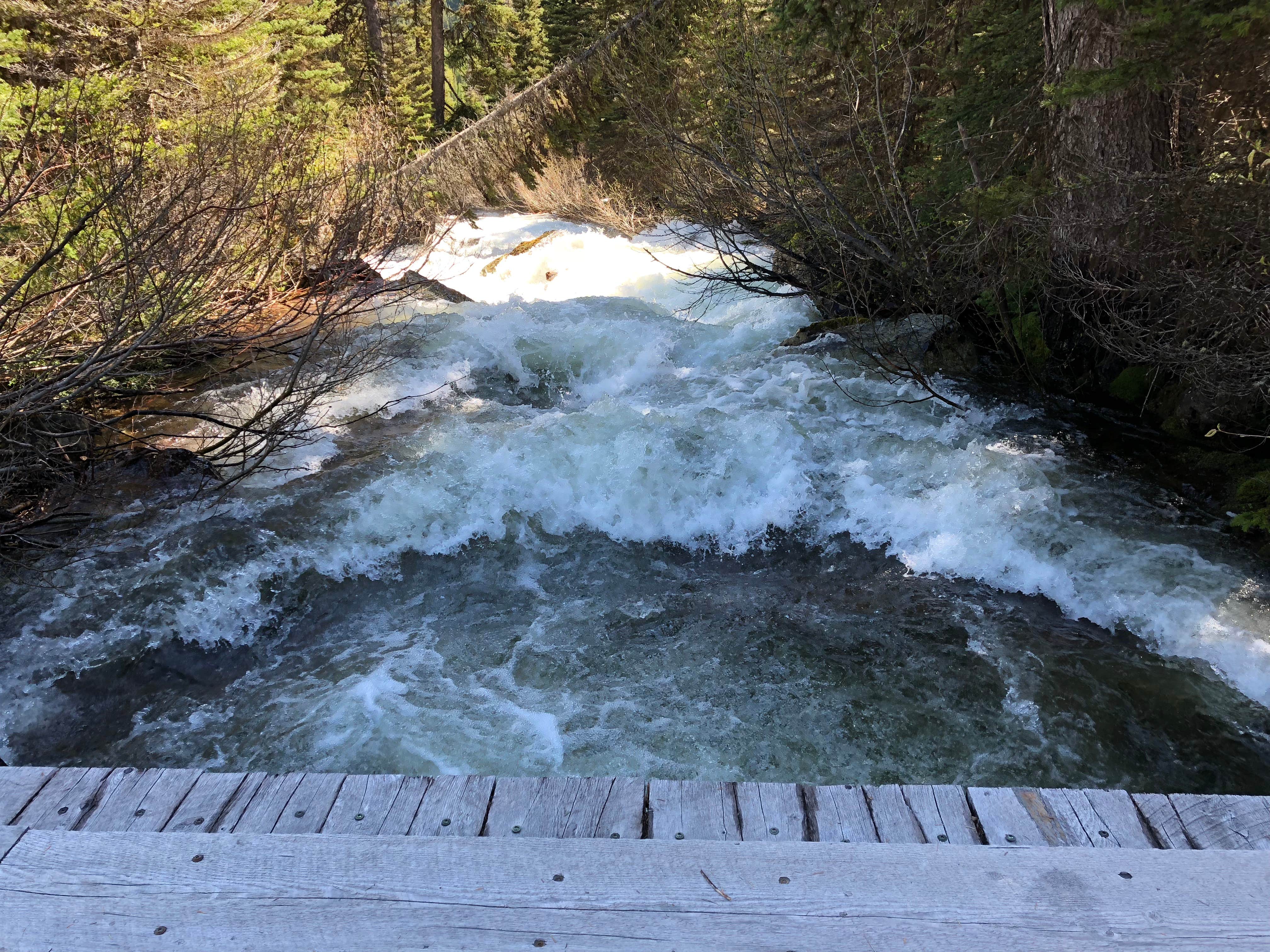 Camper-submitted photo at Lake Marshall near Polson, MT