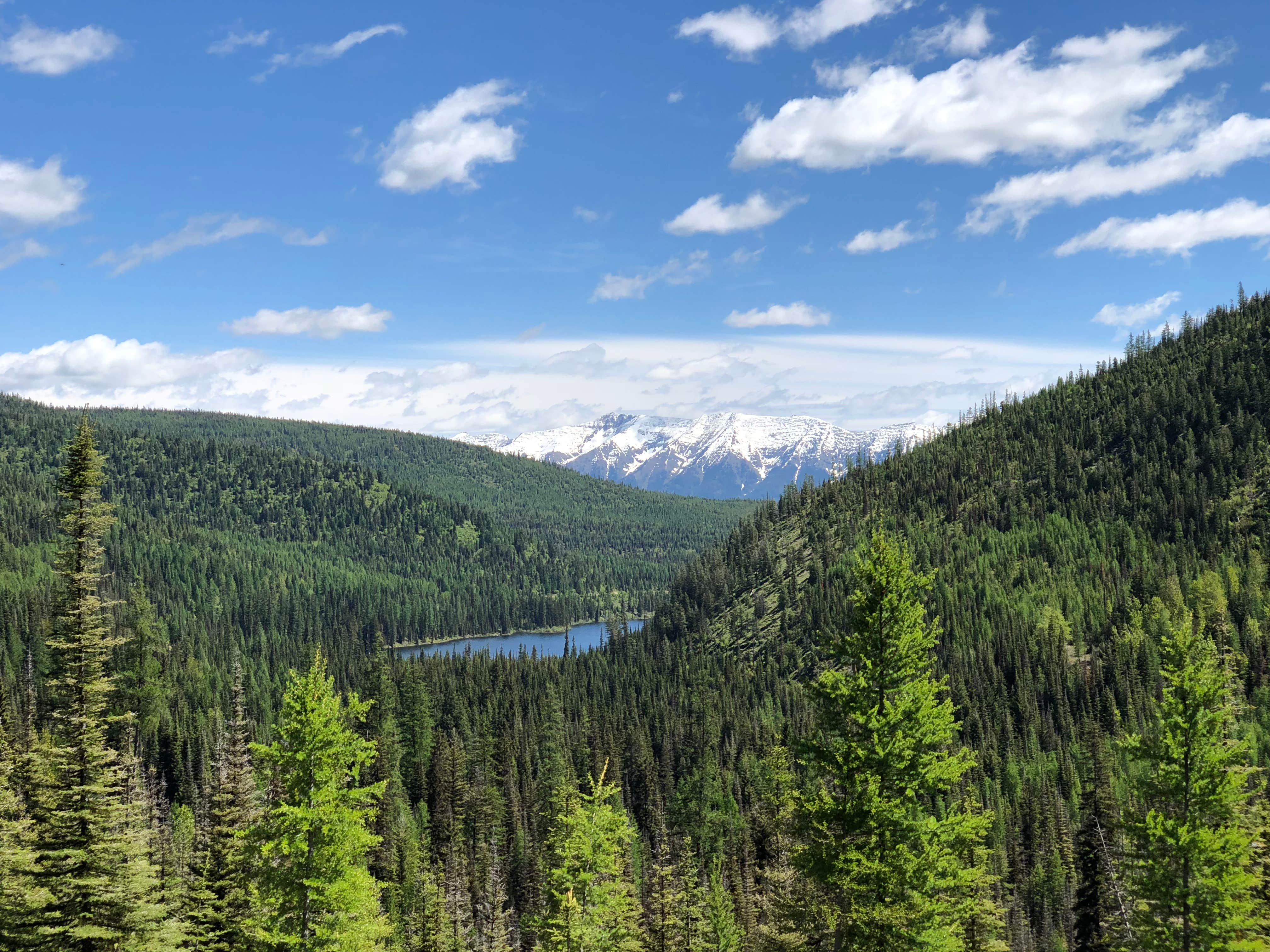 Camper-submitted photo at Lake Marshall near Polson, MT