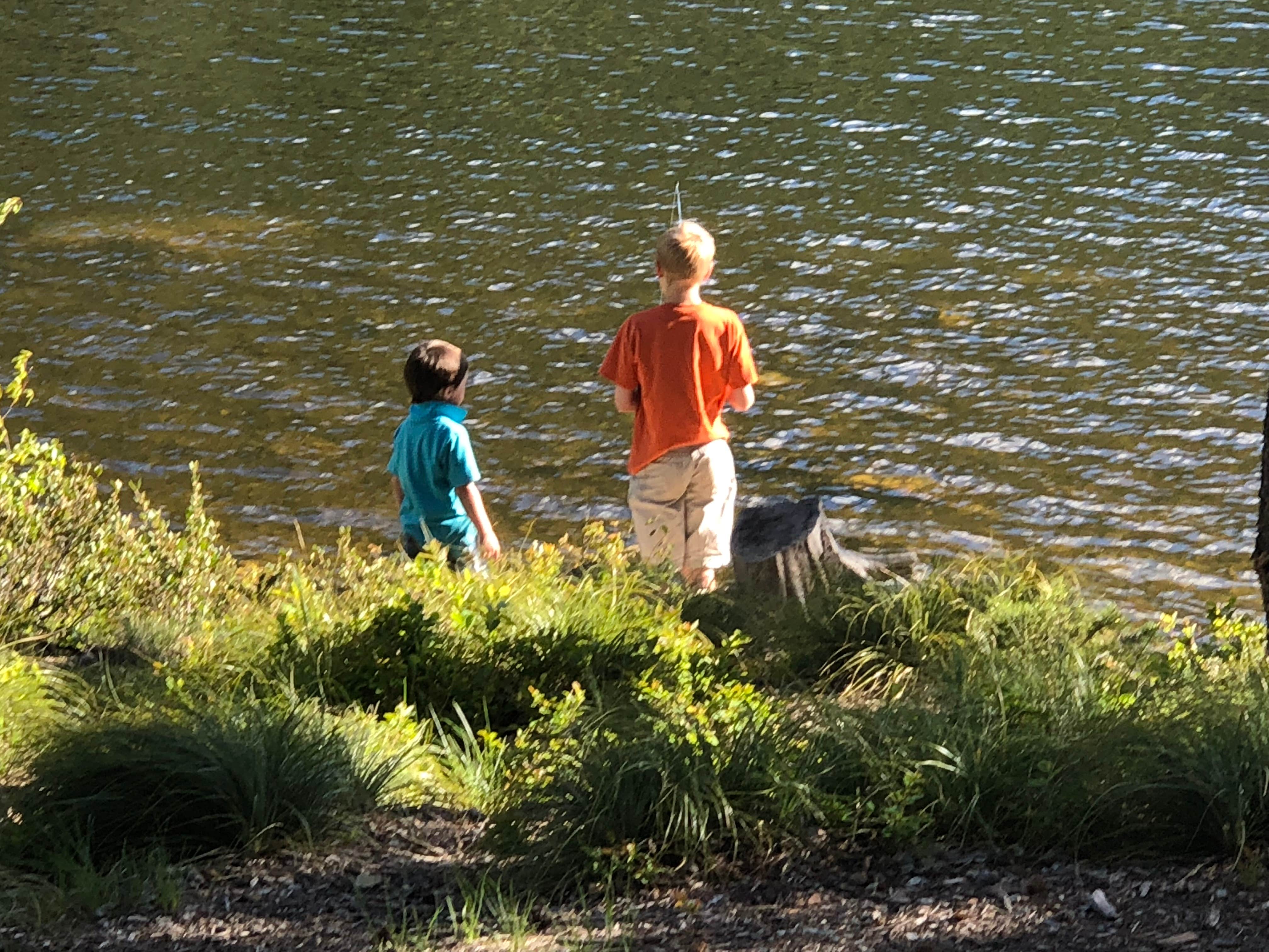 Camper-submitted photo at Lake Marshall near Polson, MT