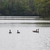 Review photo of West Branch State Park Campground by Courtney C., July 31, 2018