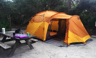 Laura L.'s photo at Grayton Beach State Park Campground near Panama City, FL