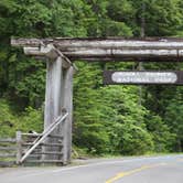 Review photo of Ohanapecosh Campground — Mount Rainier National Park by Christy C., July 29, 2016