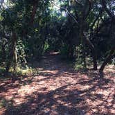 Review photo of Grayton Beach State Park Campground by Laura L., July 31, 2018