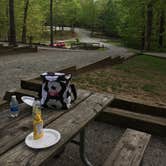 Review photo of Amicalola Falls State Park Camping by Missy F., July 31, 2018