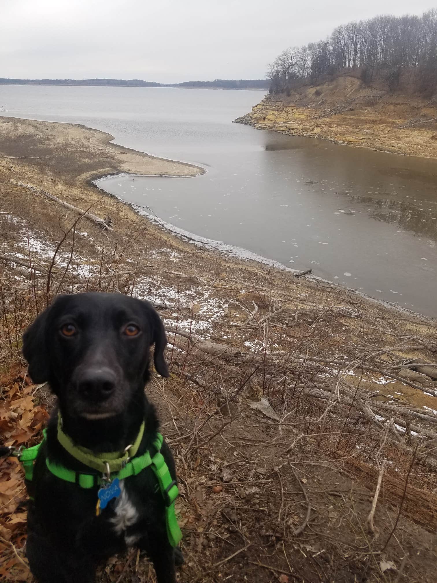 jennifer M.'s photo of camping with pets at Equestrian Campground — Elk Rock State Park near Ackworth, IA