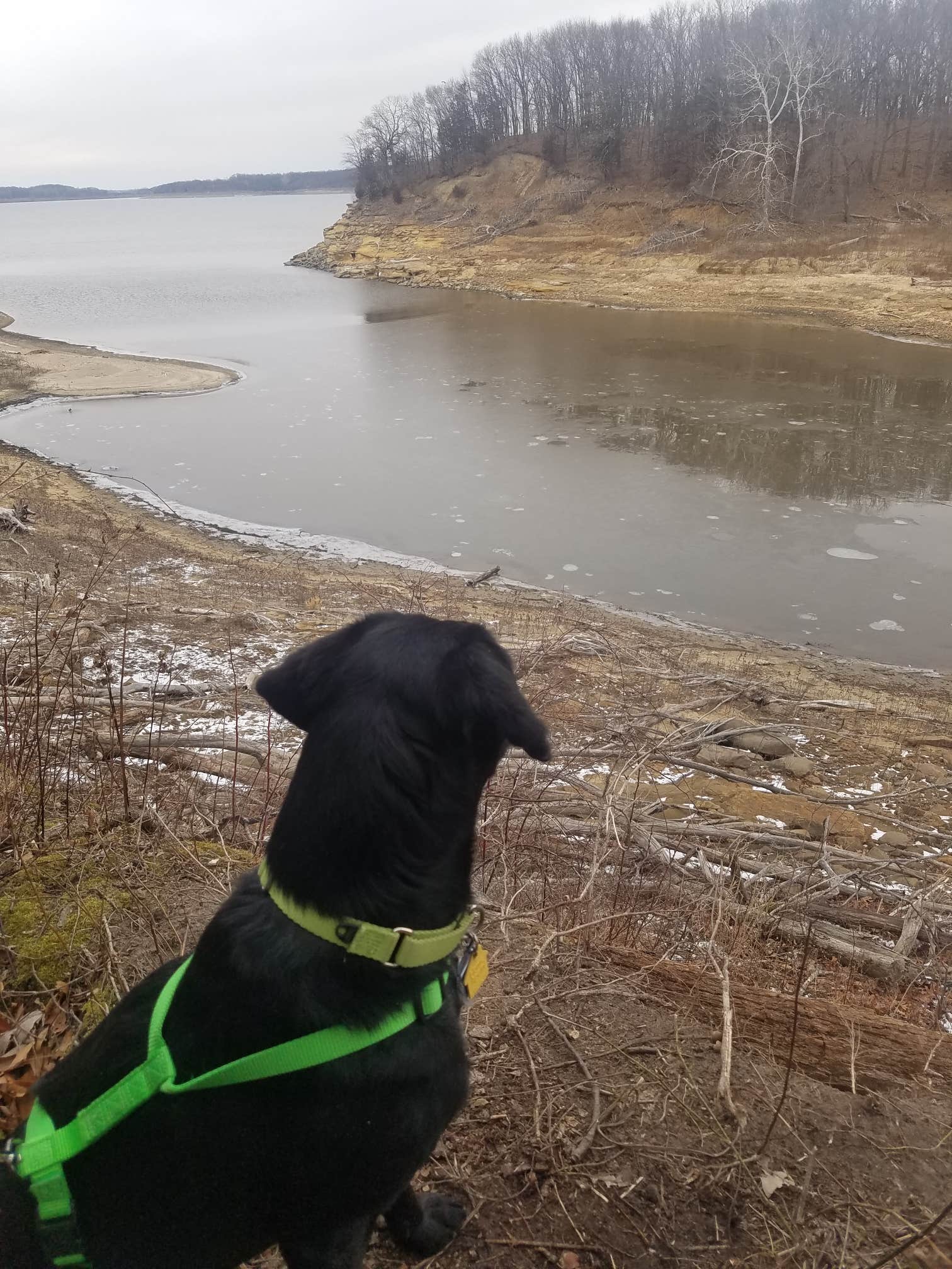 jennifer M.'s photo of camping with pets at Equestrian Campground — Elk Rock State Park near Rathbun Lake