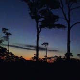 Review photo of Fort Pickens Campground — Gulf Islands National Seashore by Laura L., July 31, 2018