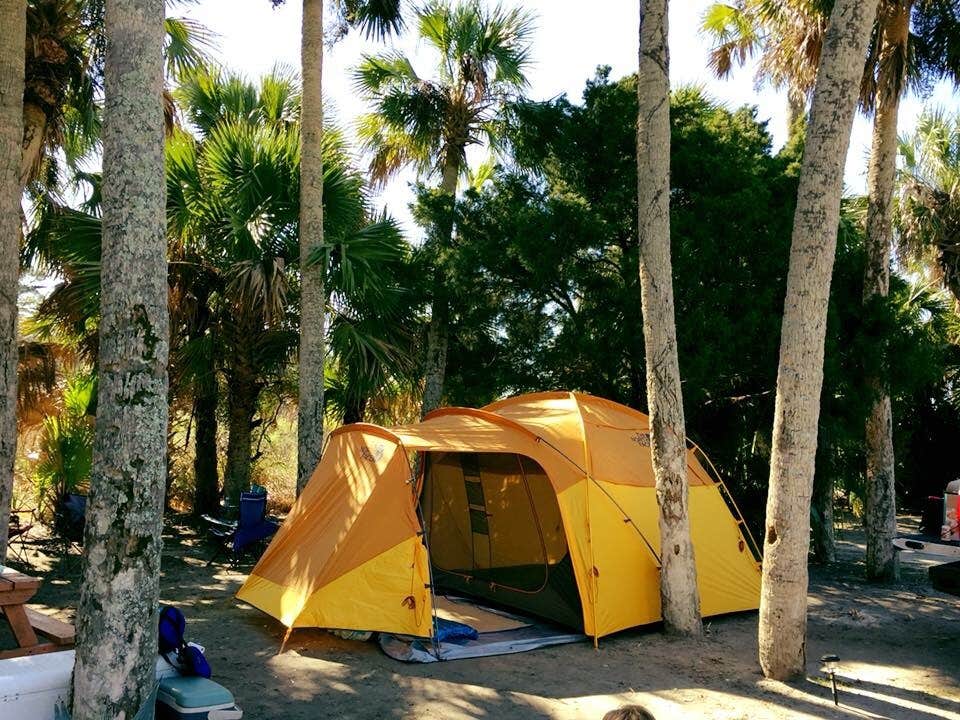 Laura L.'s photo at Indian Pass Campground near Eastpoint, FL
