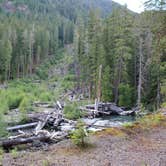 Review photo of Ohanapecosh Campground — Mount Rainier National Park by Christy C., July 29, 2016