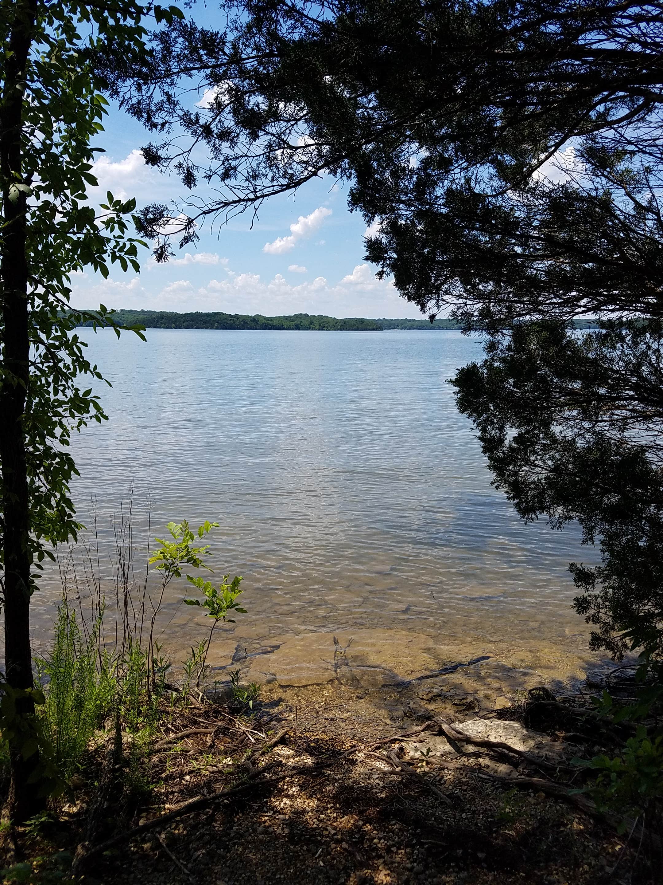 Camper submitted image from Anderson Road Campground - 5
