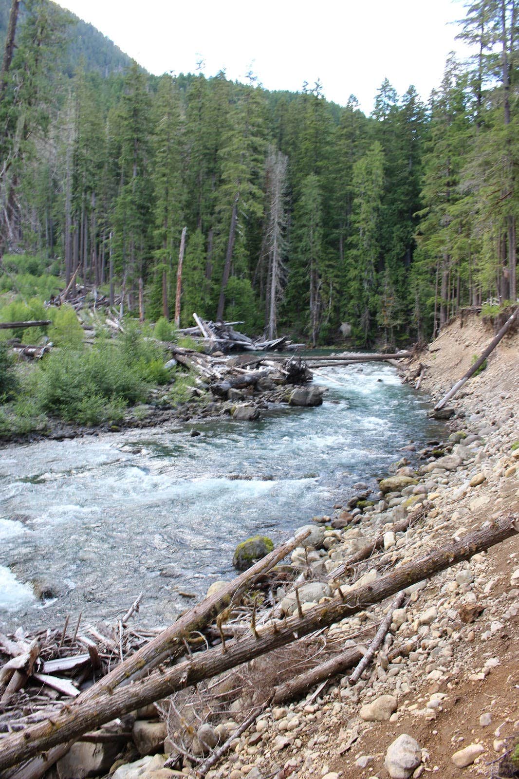 Camper submitted image from Ohanapecosh Campground — Mount Rainier National Park - 2