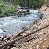 Review photo of Ohanapecosh Campground — Mount Rainier National Park by Christy C., July 29, 2016