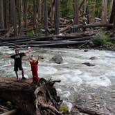 Review photo of Ohanapecosh Campground — Mount Rainier National Park by Christy C., July 29, 2016