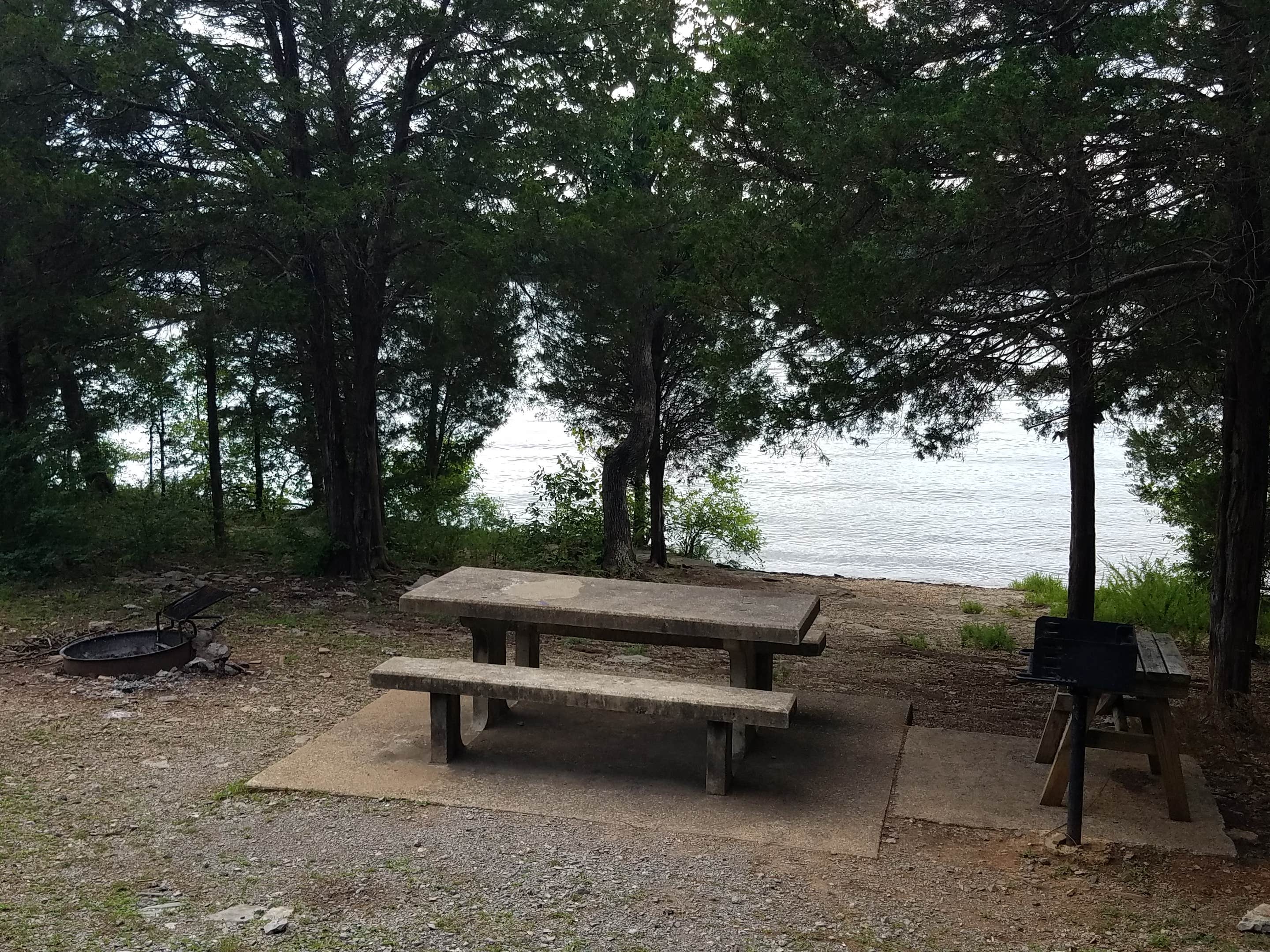 Camper submitted image from Anderson Road Campground - 4