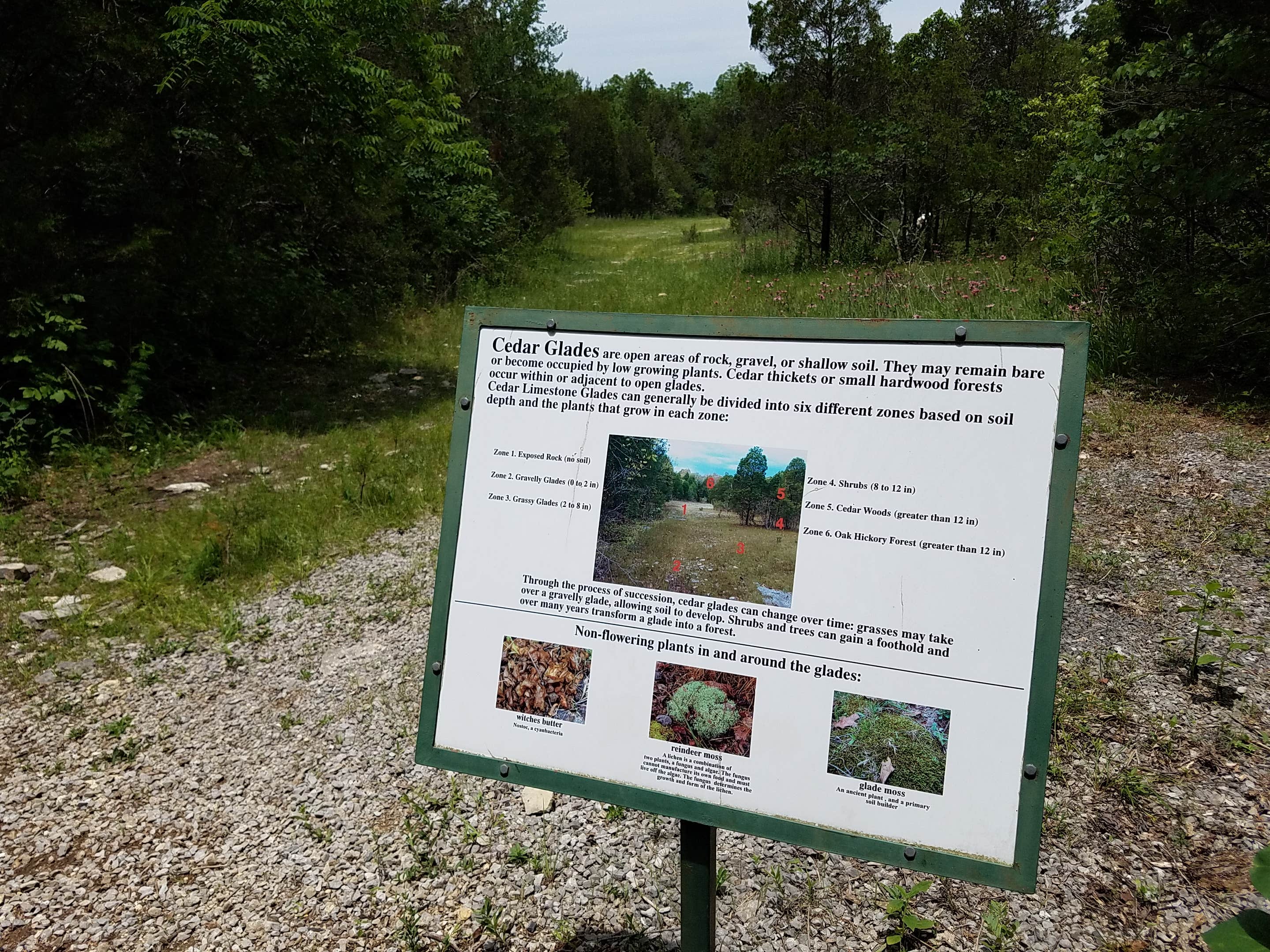 Camper-submitted photo at Cedars of Lebanon State Park Campground near Hendersonville, TN