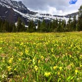 Review photo of Cut Bank Campground — Glacier National Park by Lindsay B., June 10, 2015