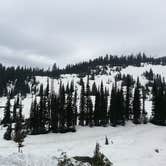 Review photo of Ohanapecosh Campground — Mount Rainier National Park by Christy C., July 29, 2016