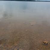 Review photo of Cook - J. Percy Priest Reservoir by DrDavid P., July 31, 2018