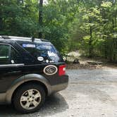 Review photo of Cook - J. Percy Priest Reservoir by DrDavid P., July 31, 2018