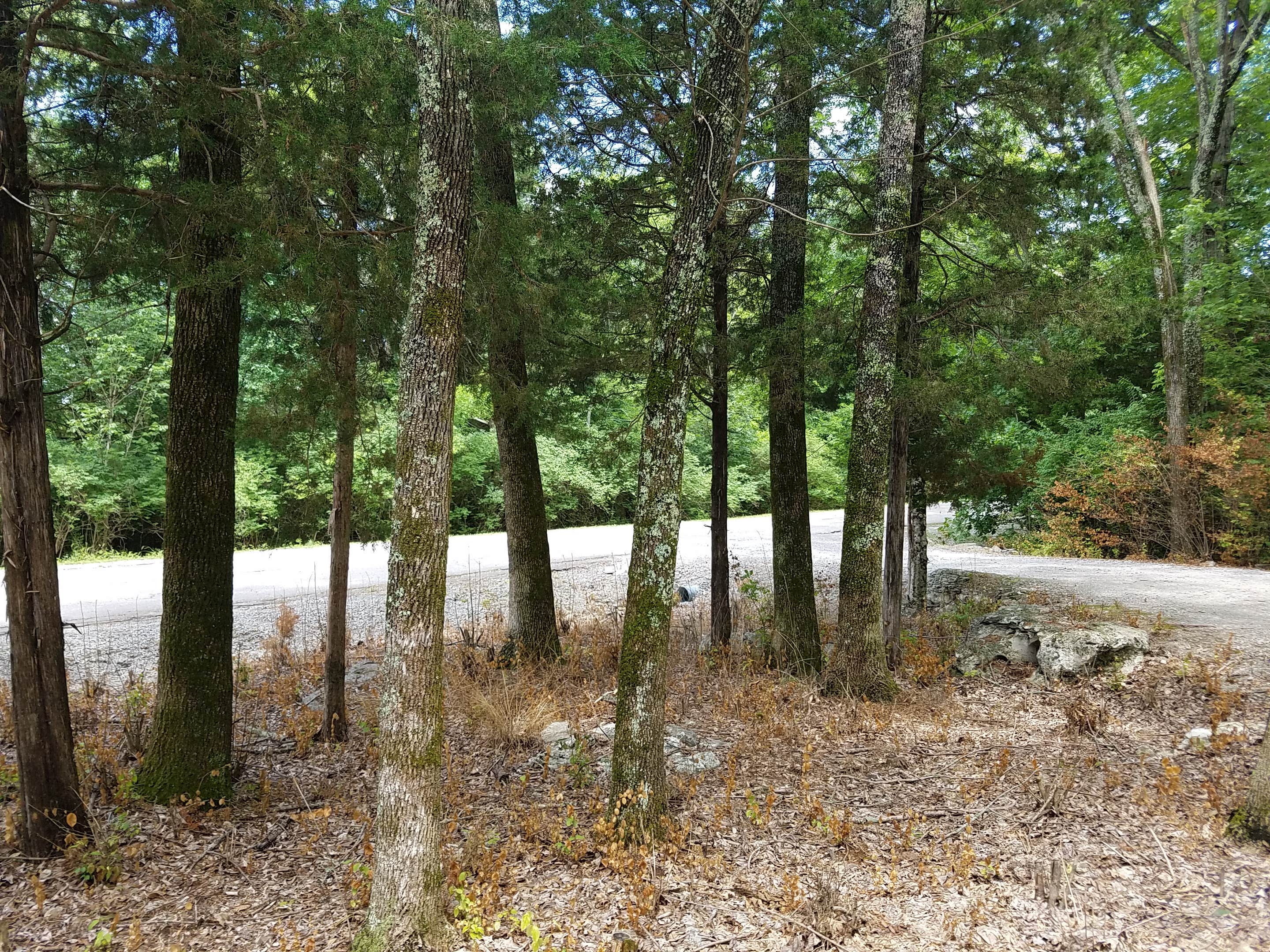 Camper-submitted photo at Cook - J. Percy Priest Reservoir near Springfield, TN