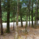 Review photo of Cook - J. Percy Priest Reservoir by DrDavid P., July 31, 2018