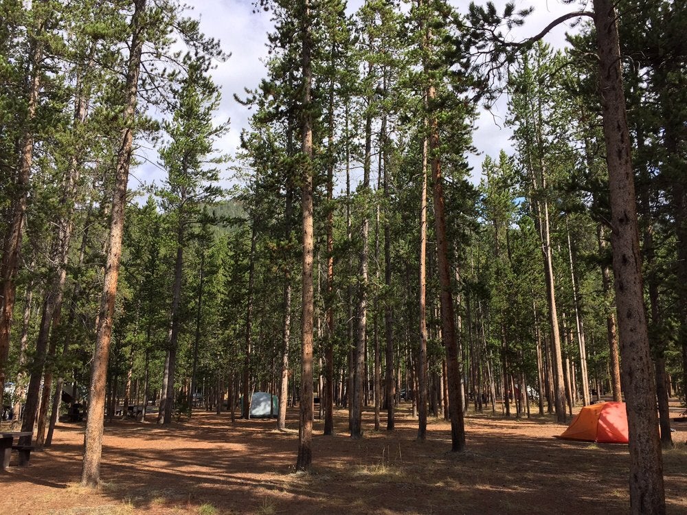 Camper submitted image from Madison Campground — Yellowstone National Park - 2