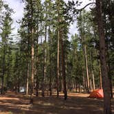 Review photo of Madison Campground — Yellowstone National Park by phillip L., July 29, 2016