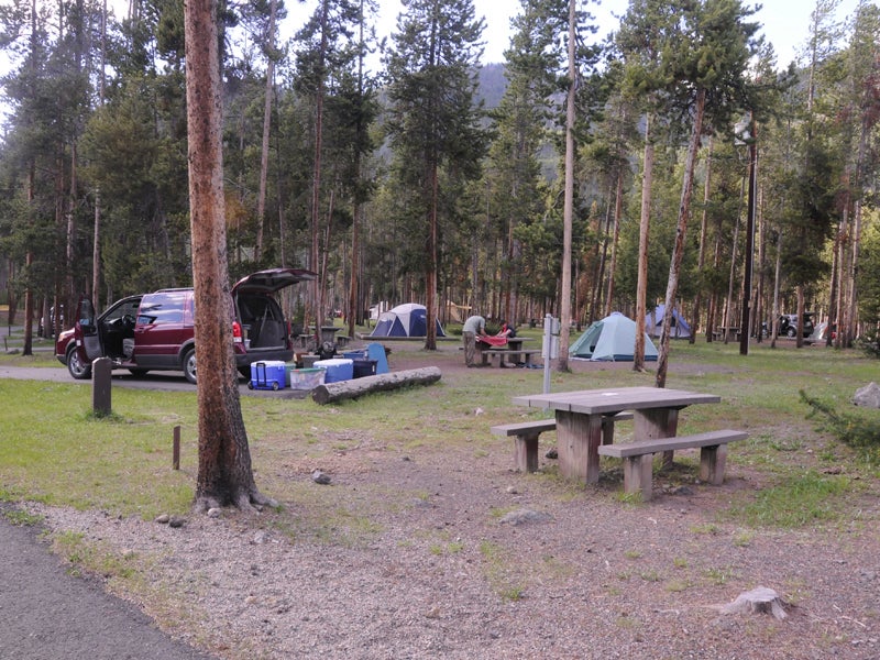 Camper submitted image from Madison Campground — Yellowstone National Park - 3