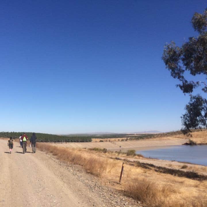 Modesto Reservoir Camping The Dyrt