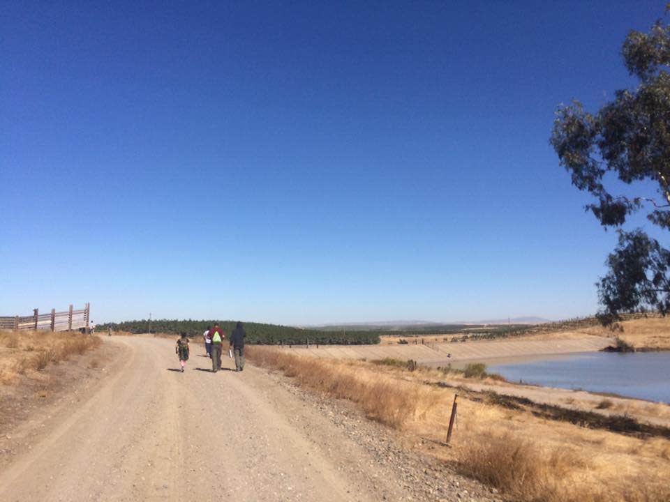 Camper submitted image from Modesto Reservoir - 5