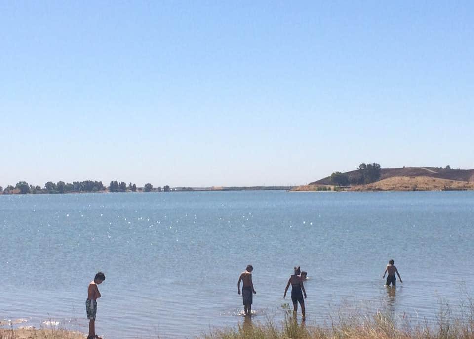 are dogs allowed at modesto reservoir