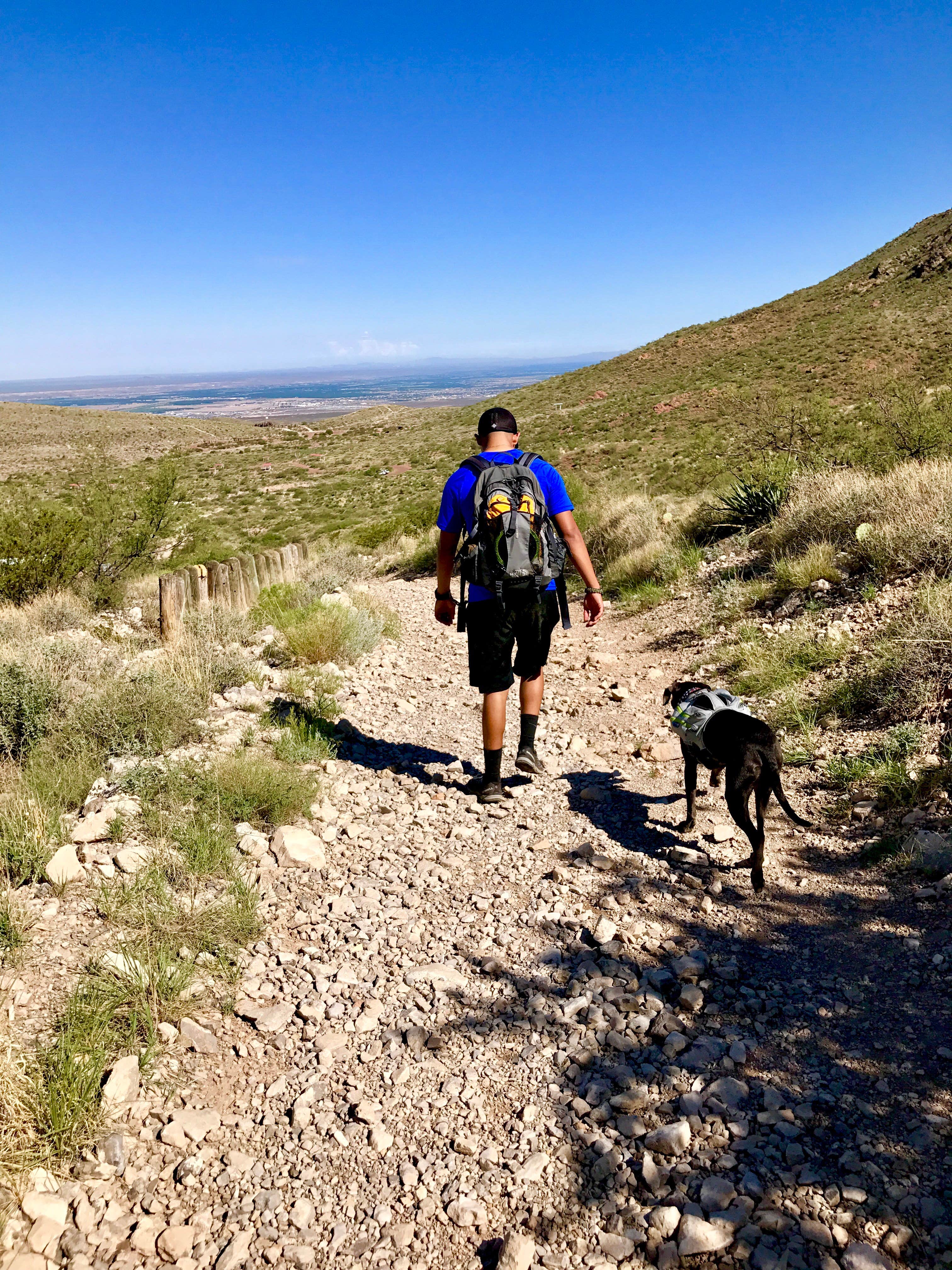 Camper submitted image from Franklin Mountains State Park Campground - 4