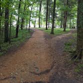 Review photo of Long Hunter State Park Campground by DrDavid P., July 31, 2018