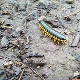 Review photo of Long Hunter State Park Campground by DrDavid P., July 31, 2018