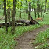 Review photo of Long Hunter State Park Campground by DrDavid P., July 31, 2018