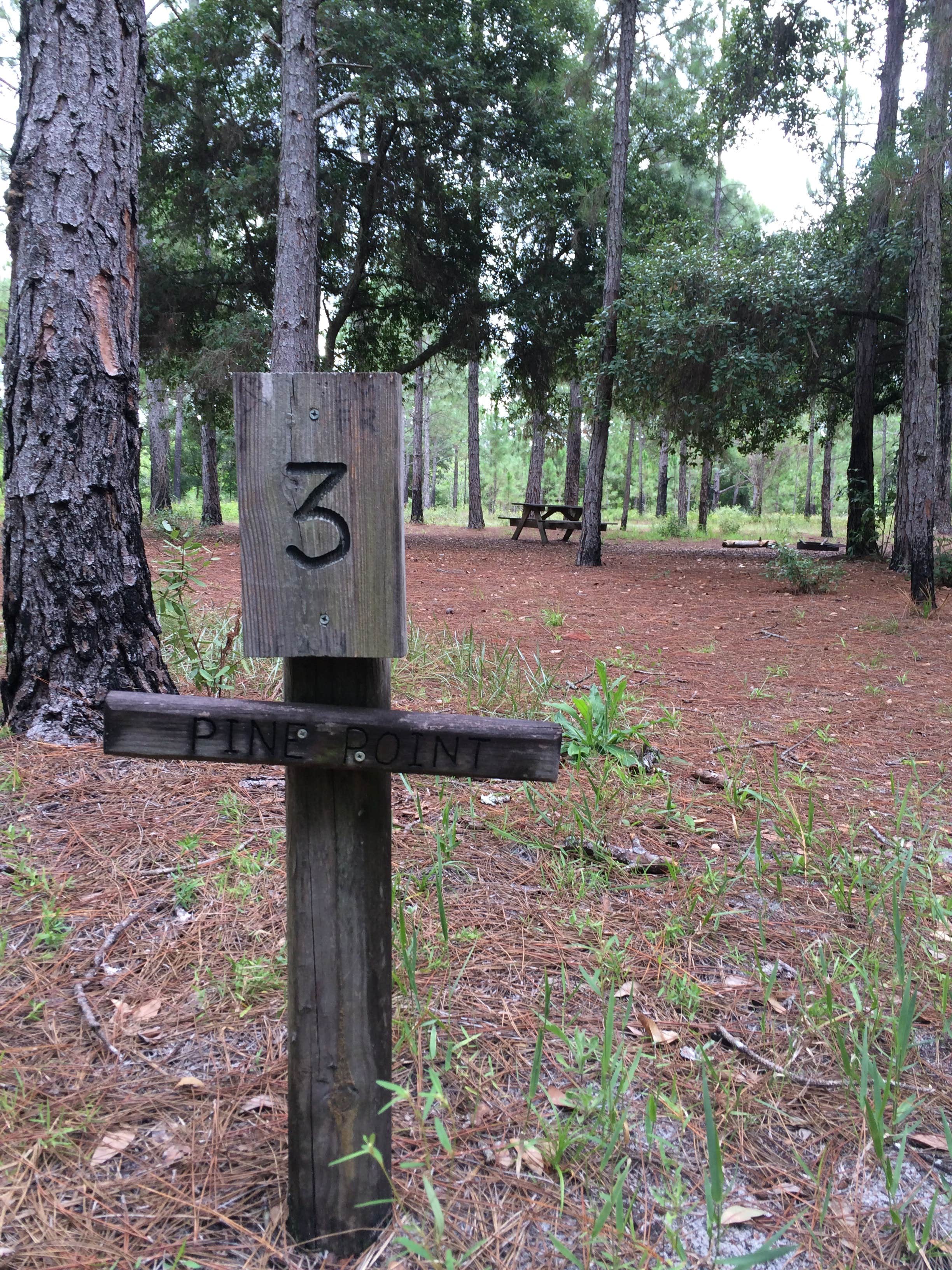 Camper submitted image from Lake Louisa State Park Campground - 5