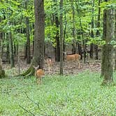 Review photo of Long Hunter State Park Campground by DrDavid P., July 31, 2018